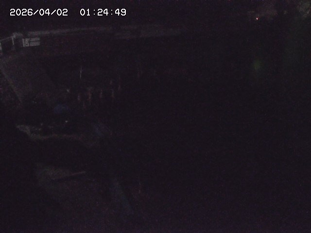 取得できませんでした