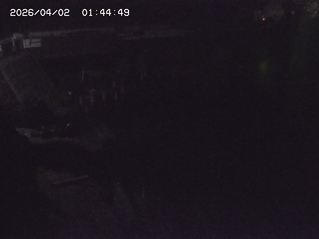 取得できませんでした