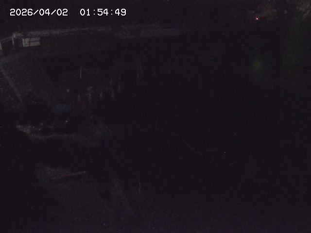 取得できませんでした