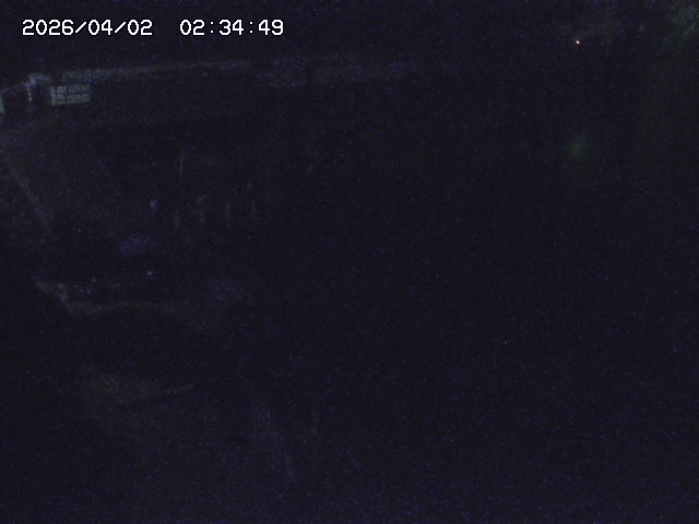 取得できませんでした