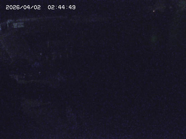 取得できませんでした