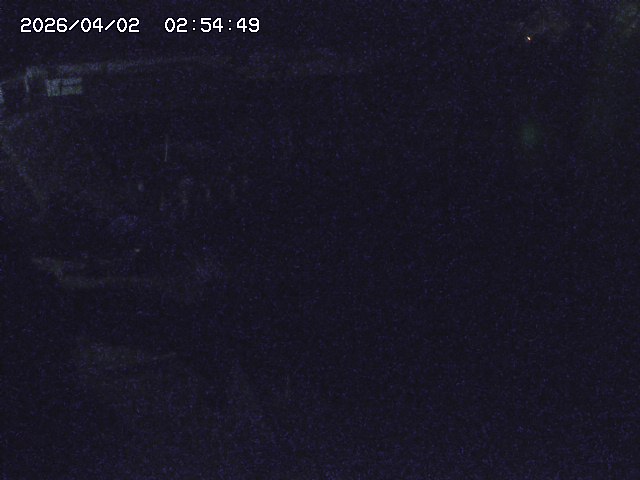 取得できませんでした