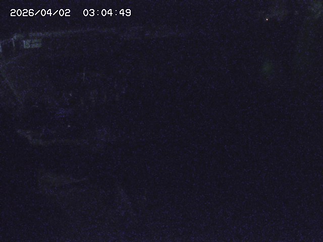 取得できませんでした