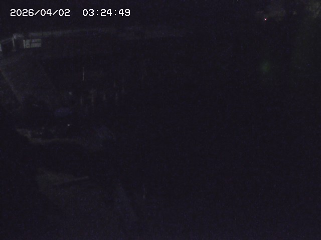 取得できませんでした