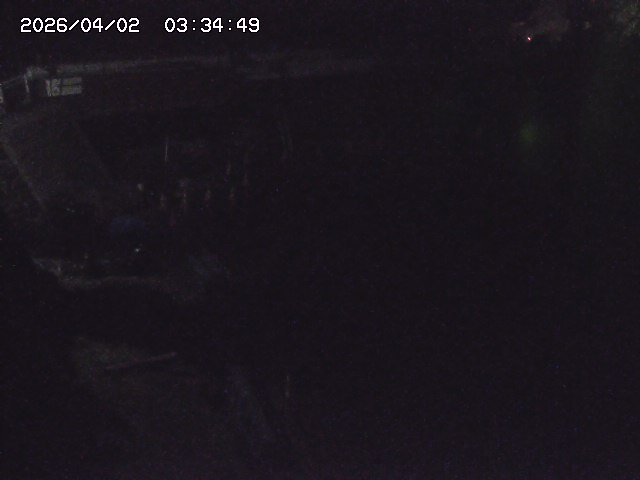 取得できませんでした