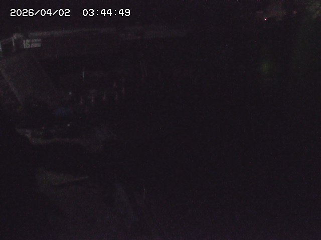 取得できませんでした