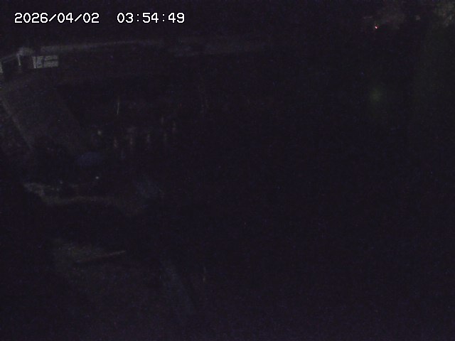 取得できませんでした