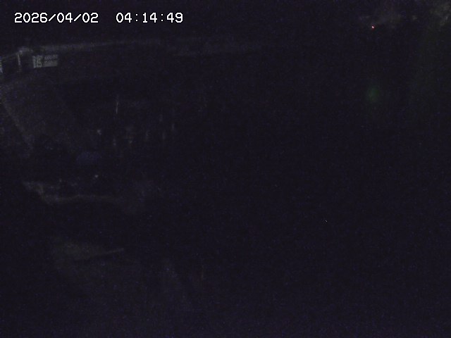 取得できませんでした