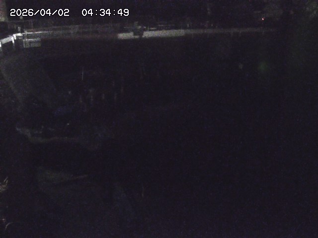 取得できませんでした