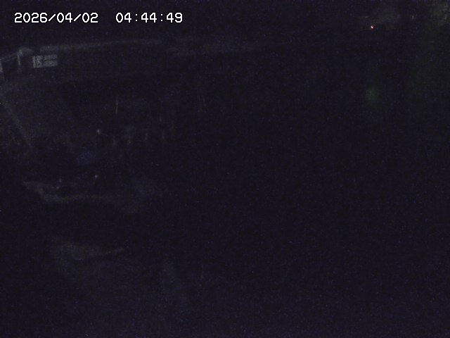 取得できませんでした