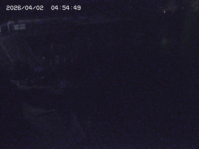 取得できませんでした