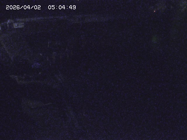 取得できませんでした