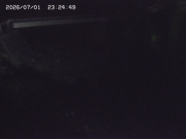 取得できませんでした