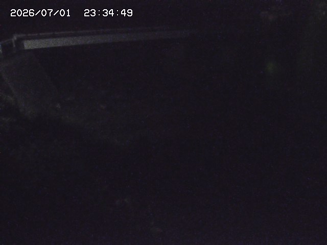 取得できませんでした