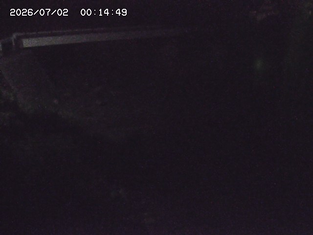 取得できませんでした
