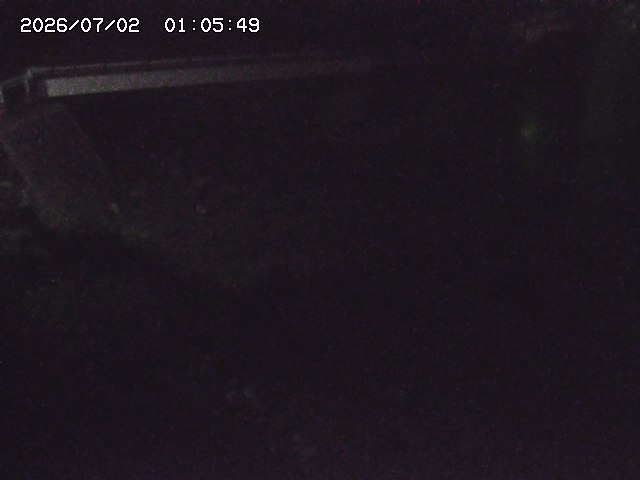 取得できませんでした