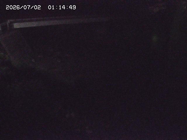 取得できませんでした
