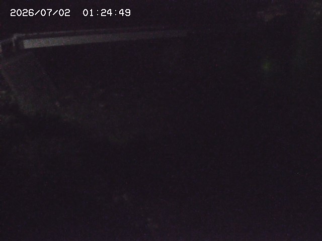 取得できませんでした