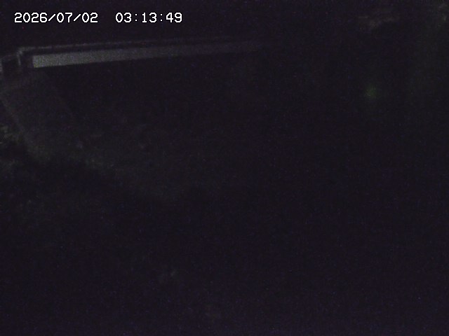 取得できませんでした
