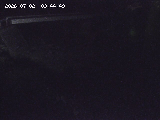 取得できませんでした