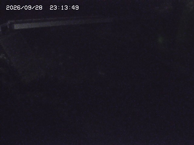 取得できませんでした