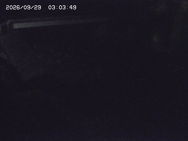 取得できませんでした