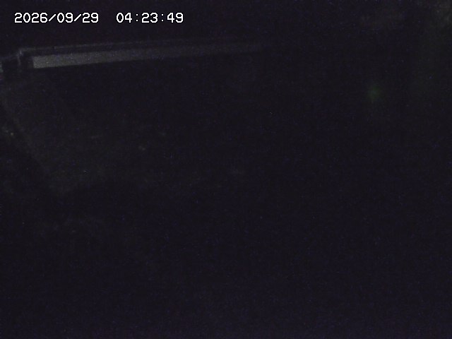 取得できませんでした