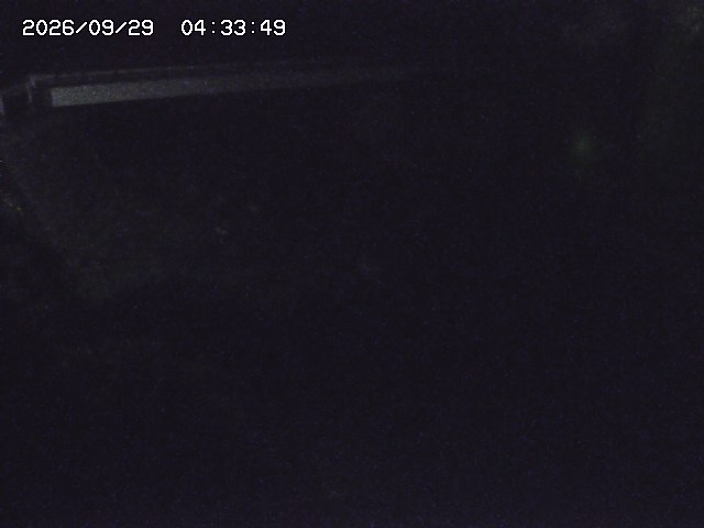 取得できませんでした