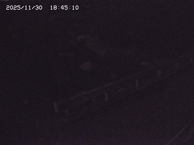 取得できませんでした