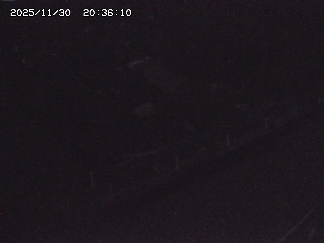 取得できませんでした