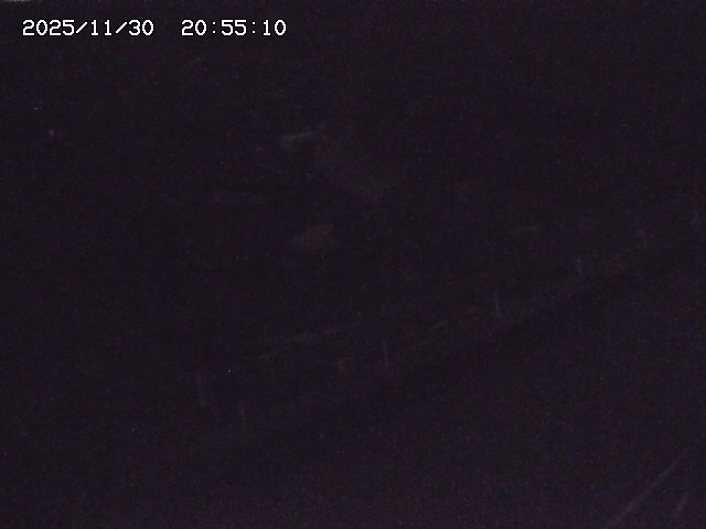 取得できませんでした