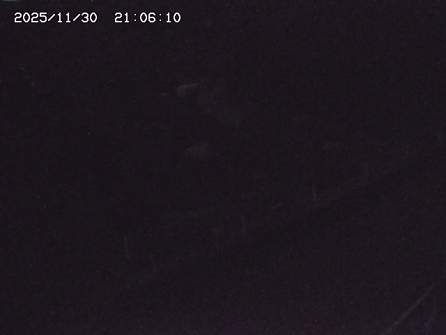 取得できませんでした