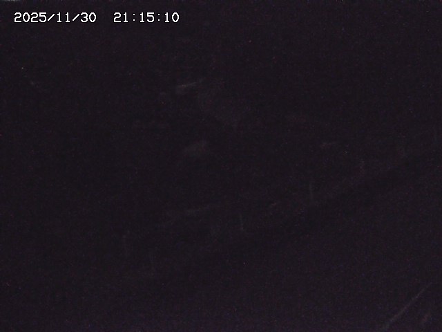 取得できませんでした