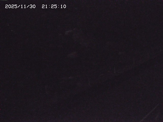 取得できませんでした