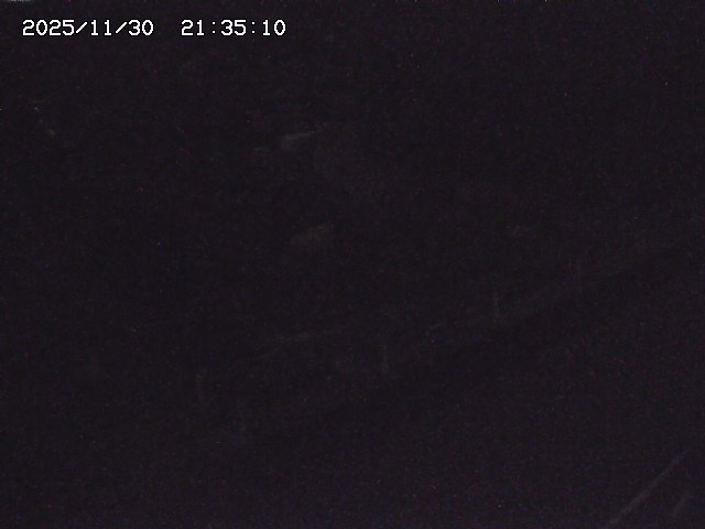 取得できませんでした