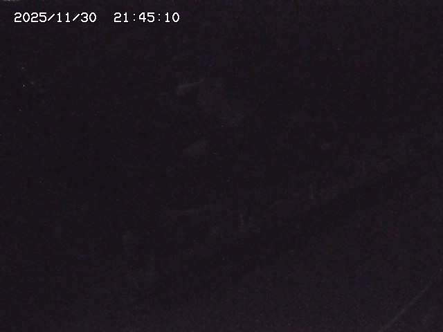 取得できませんでした