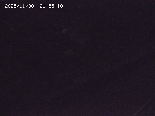 取得できませんでした