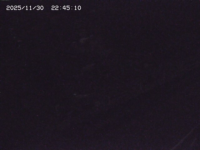 取得できませんでした