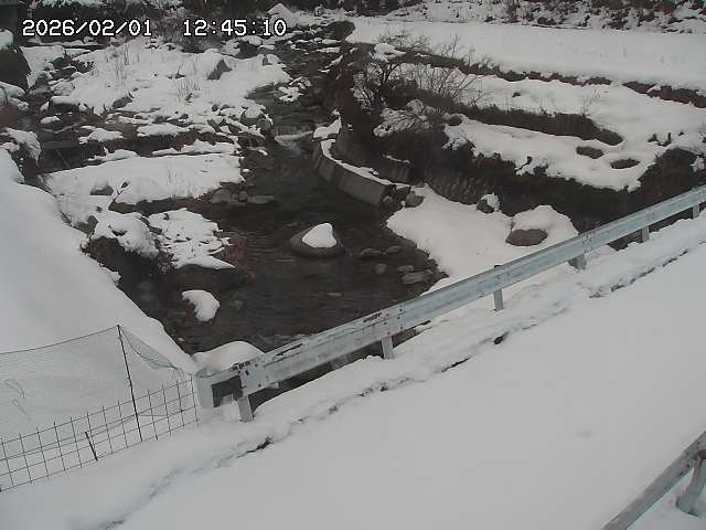 取得できませんでした