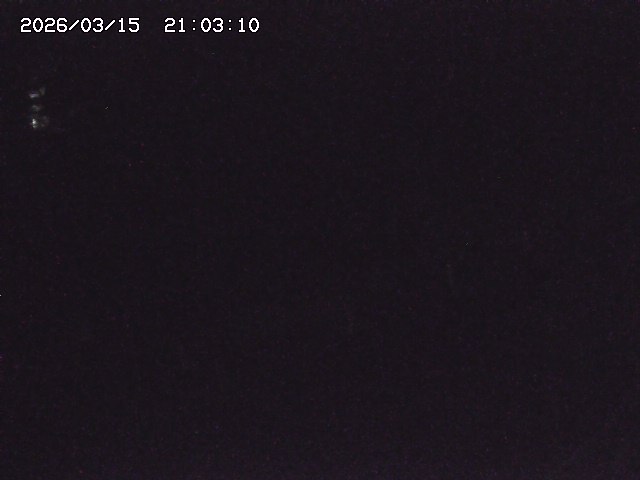 取得できませんでした