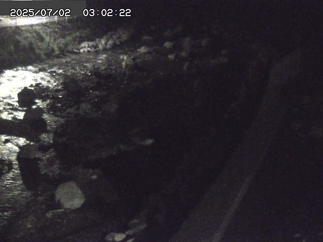 取得できませんでした