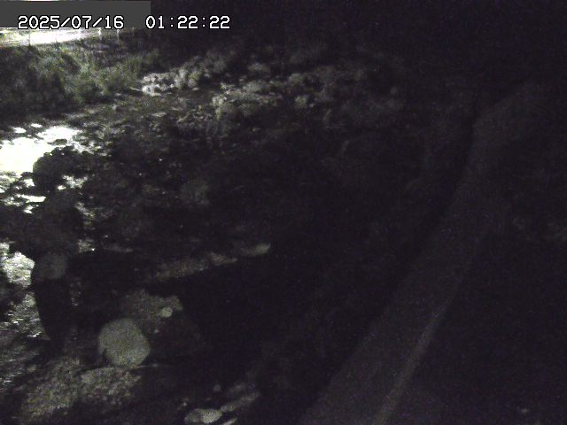 取得できませんでした
