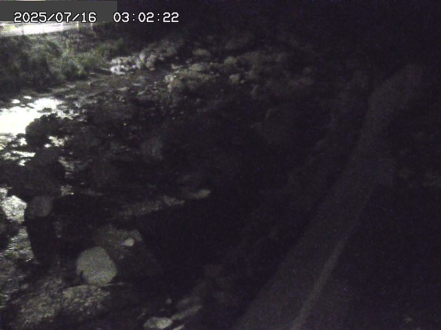 取得できませんでした