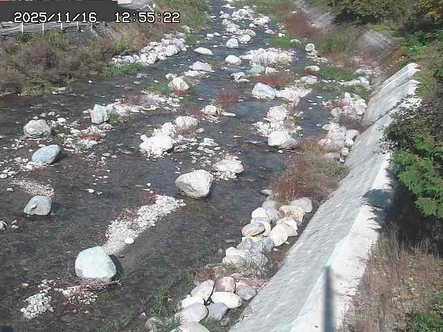 取得できませんでした