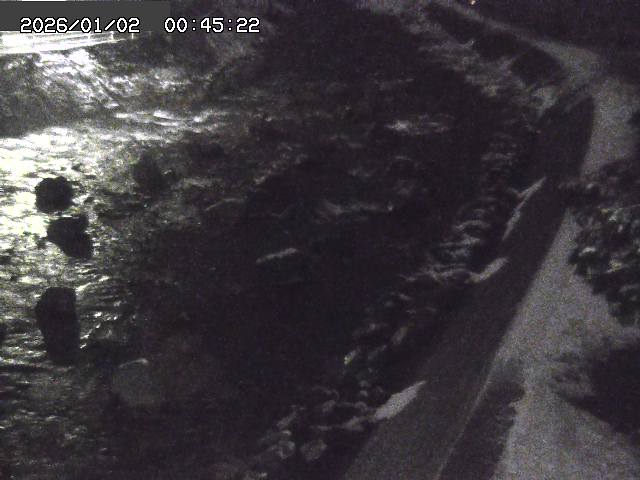 取得できませんでした