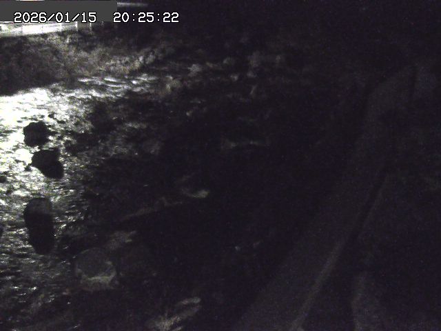 取得できませんでした