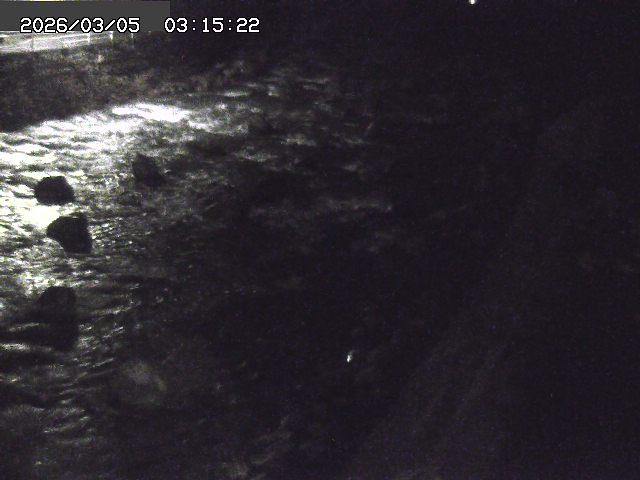 取得できませんでした