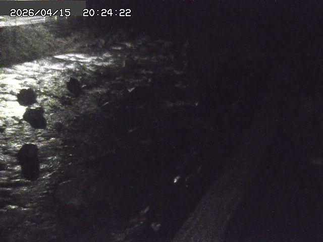 取得できませんでした