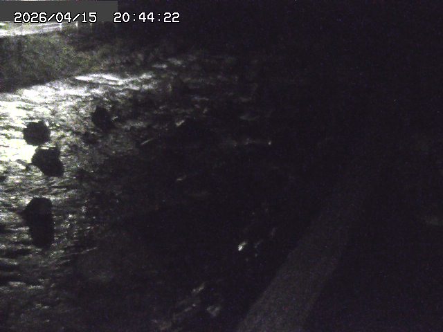 取得できませんでした