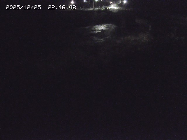 取得できませんでした